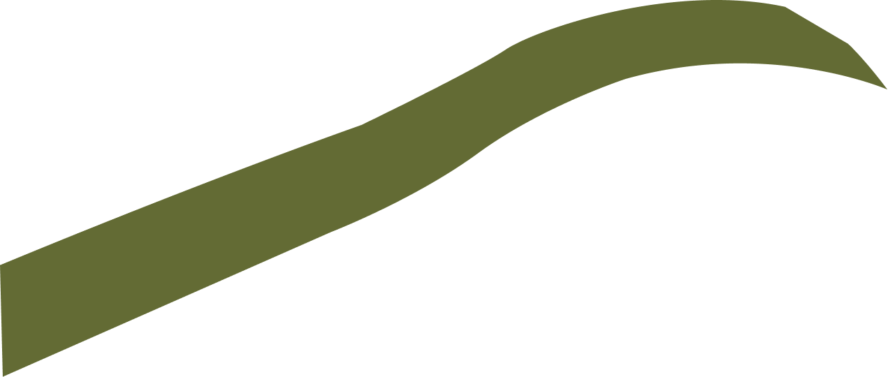 Racine décoration